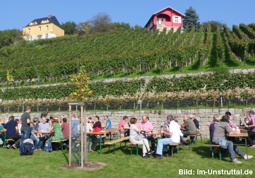 Weinwandern