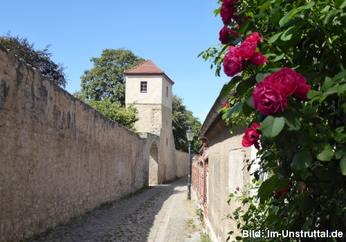 Bild: Stadtmauer